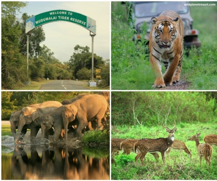 Gods own country